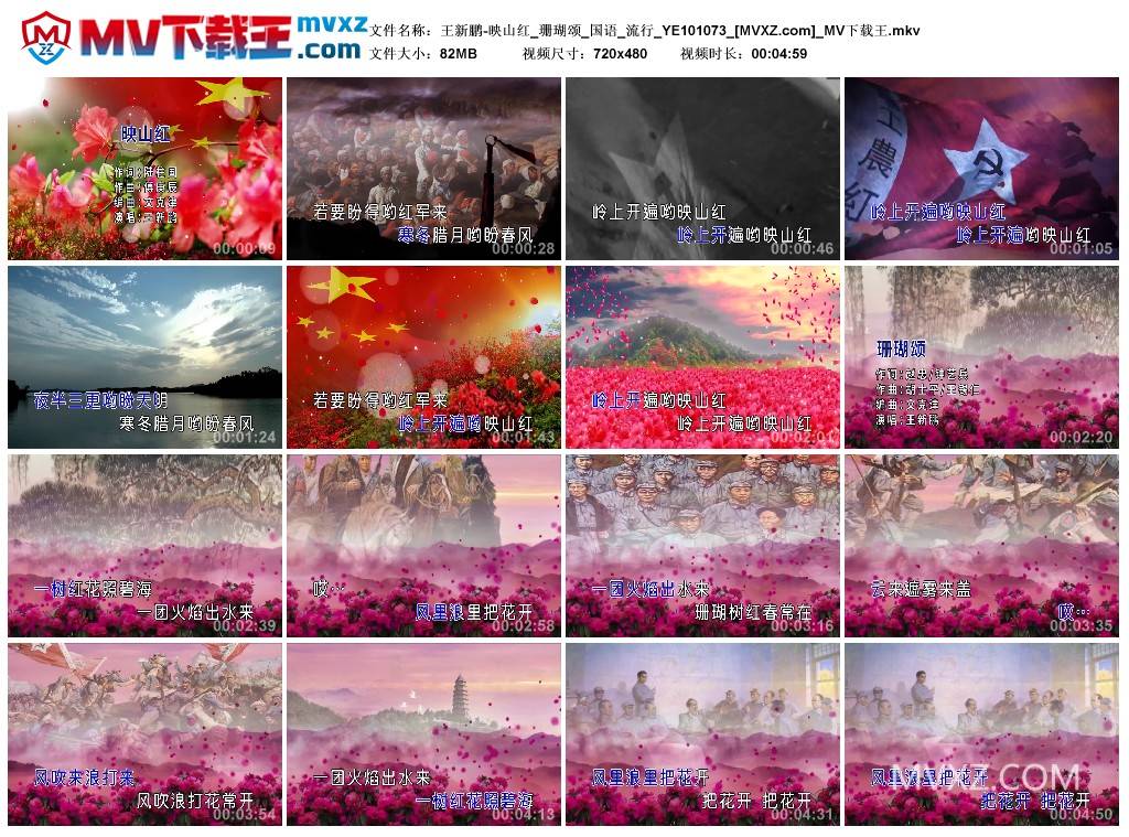 王新鹏-映山红_珊瑚颂_国语_流行_YE101073